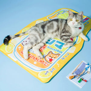 Kashima Soda Water Shaped Pet Ice Mat kashimashop
