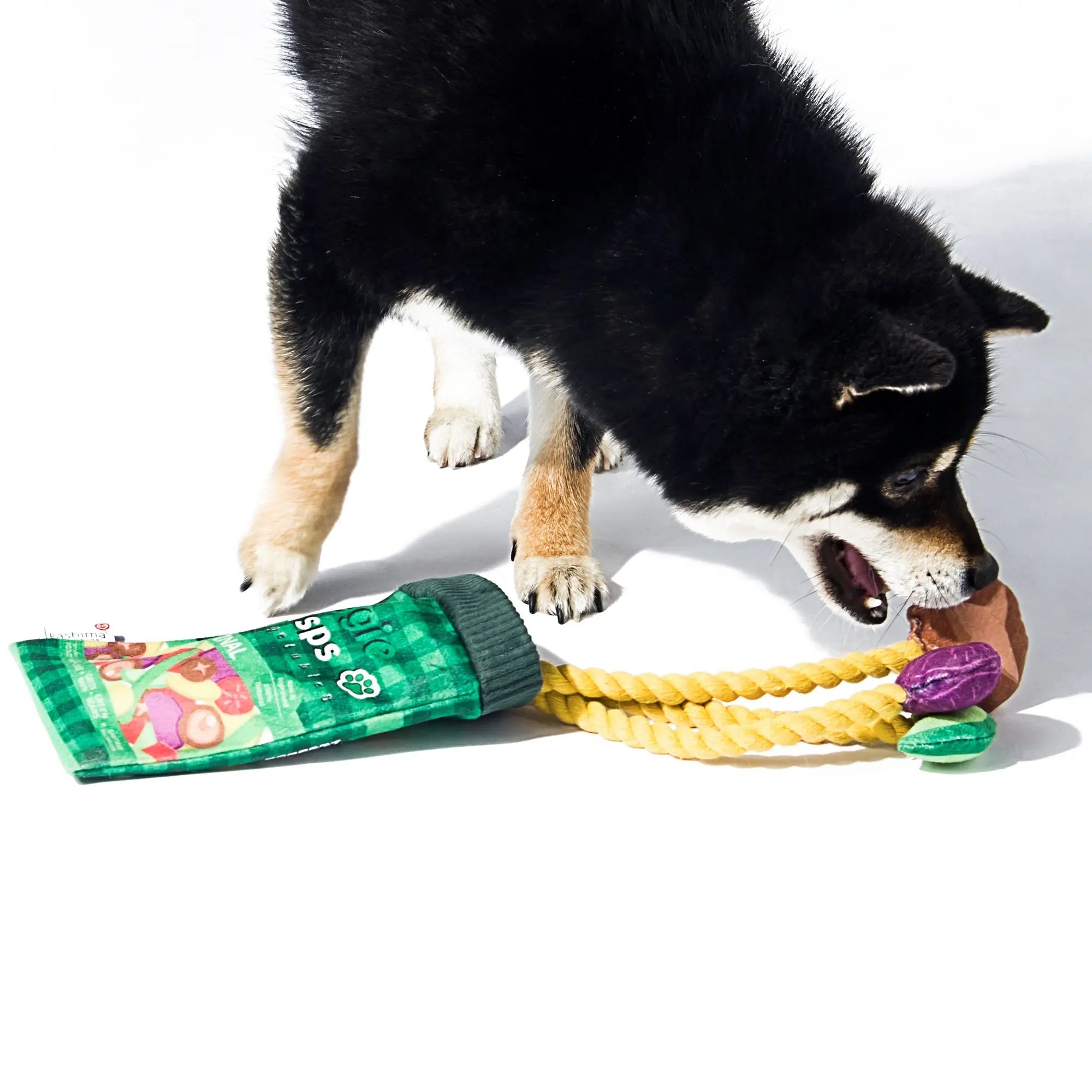 Kashima Fruit and Vegetable Chips Shaped Pet Toys kashimashop