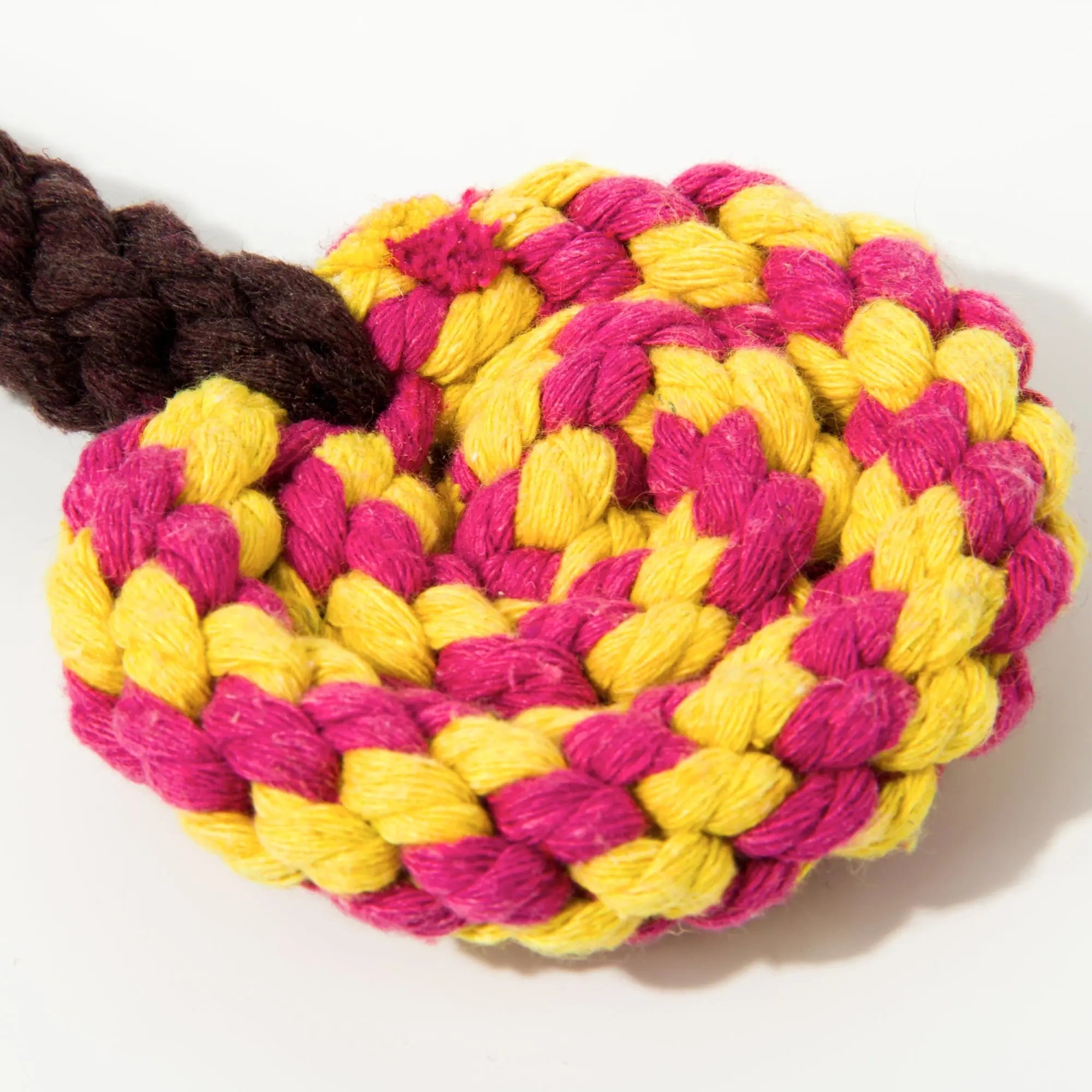 Kashima Lollipop Shaped Pet Bitten Toy kashimashop