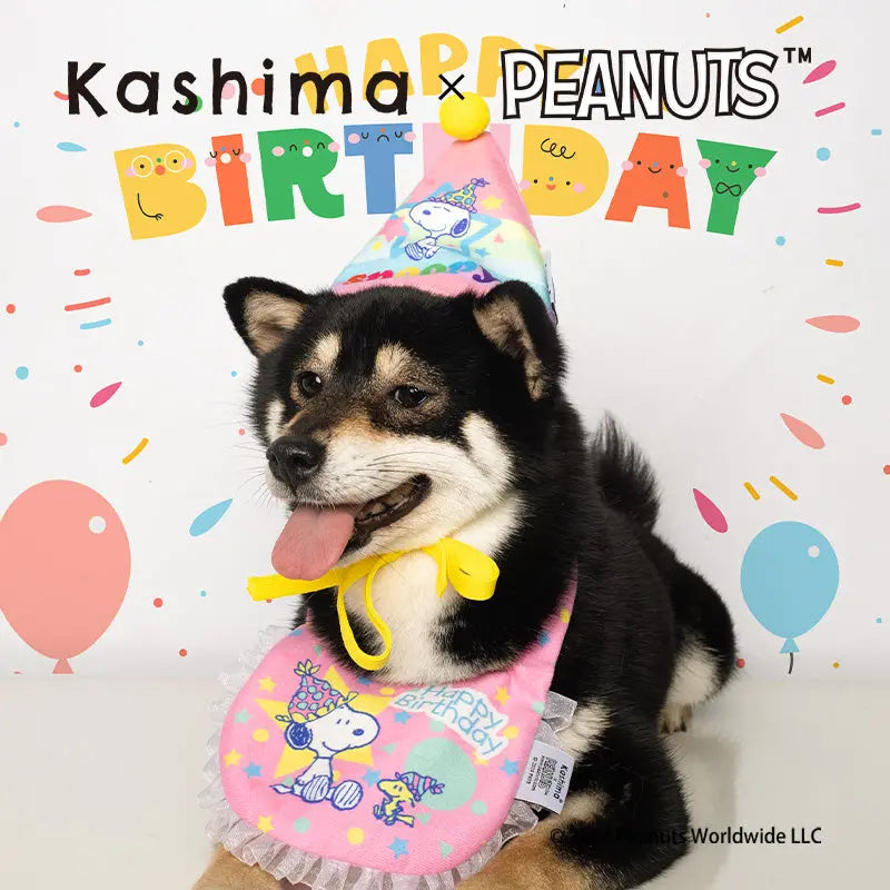 Kashima X Snoopy Birthday Hat Toy KashimaPet