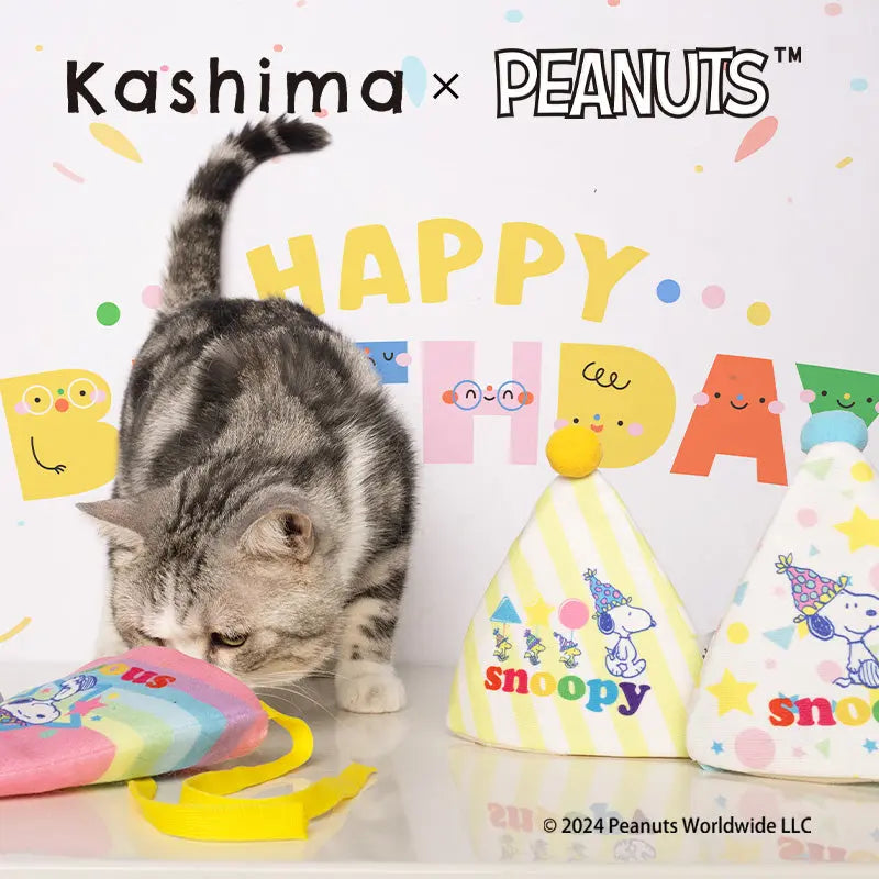 Kashima X Snoopy Birthday Hat Toy KashimaPet