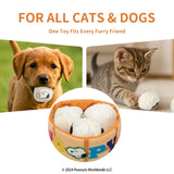 Kashima X Snoopy Bun Toy KashimaPet