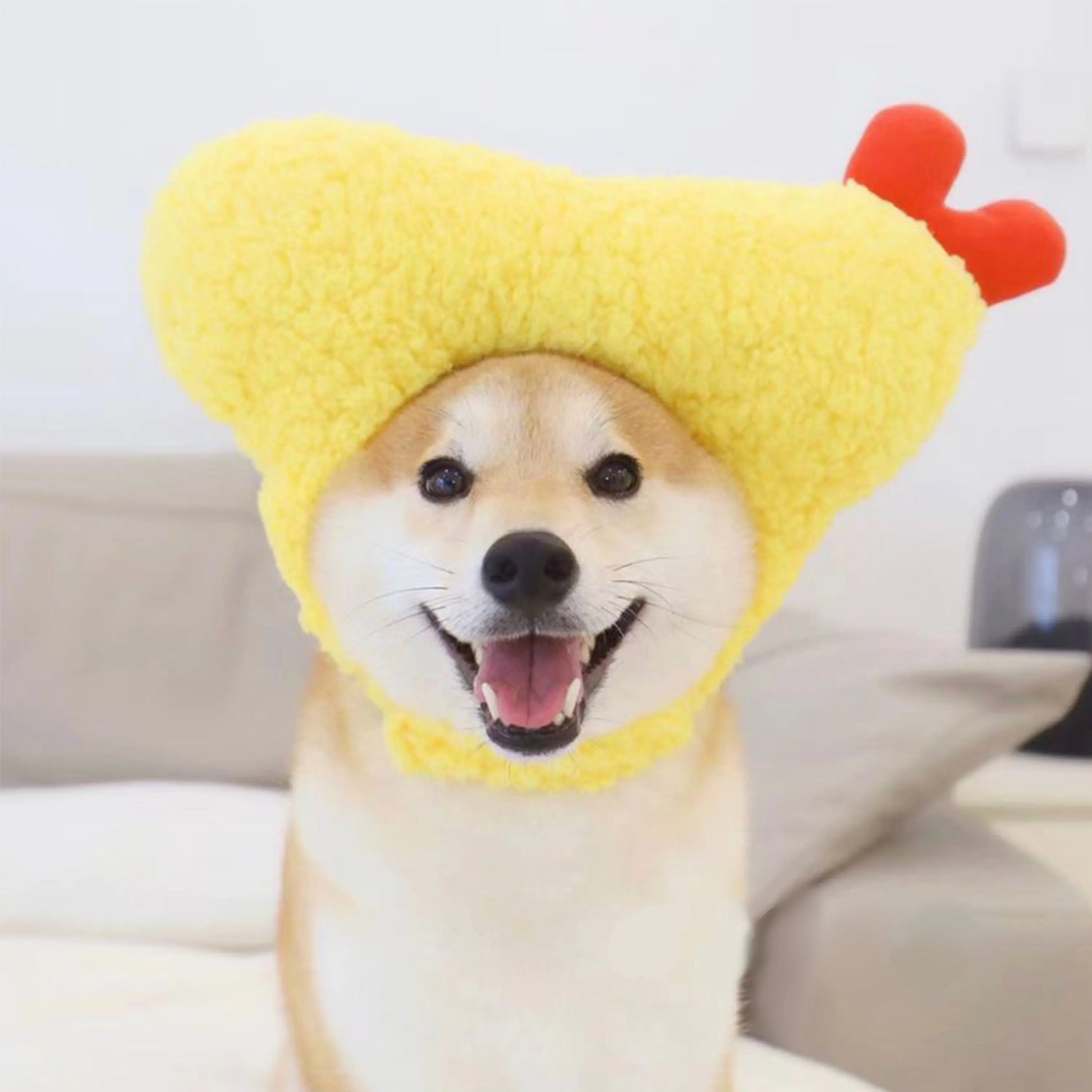 Kashima Shrimp Shaped Pet Hat kashimashop