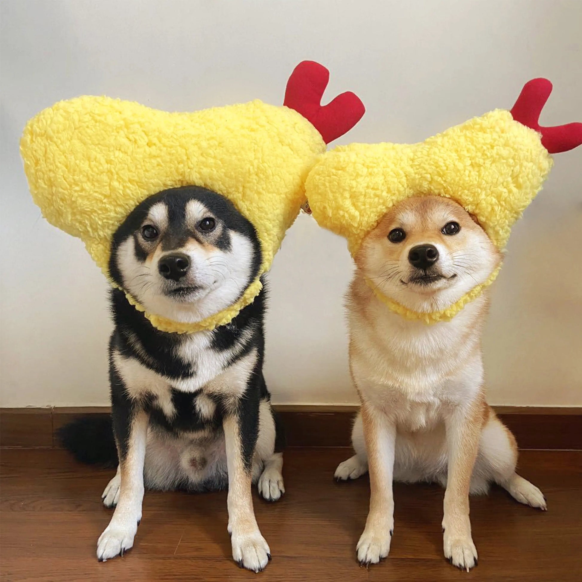Kashima Shrimp Shaped Pet Hat kashimashop