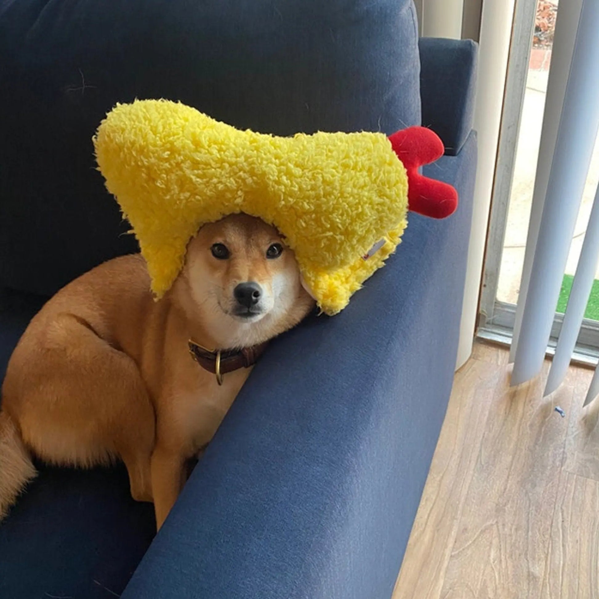 Kashima Shrimp Shaped Pet Hat kashimashop
